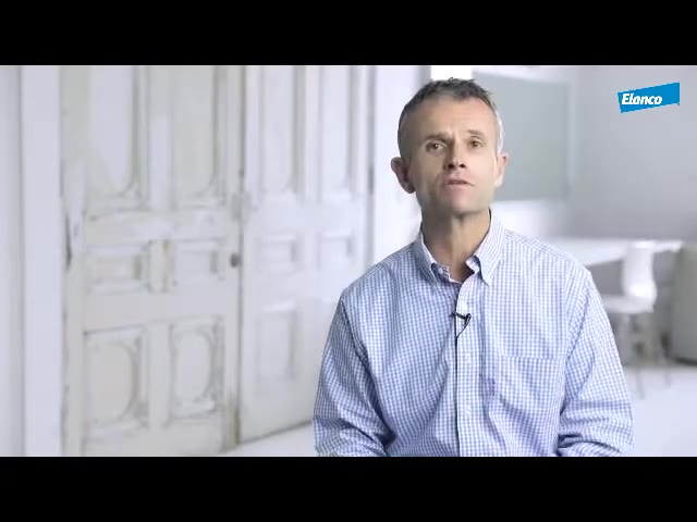 Загальний огляд опорно-рухового апарату тварин